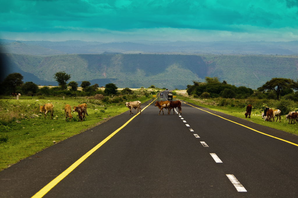Transportation in Tanzania for Tourists & Foreigners is Relatively Well-Developed 3 roads 1